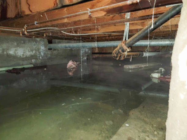 Best Local water damage restoration  in Coshocton, OH