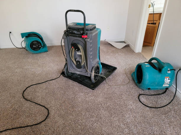 Best Mold removal after water damage  in Coshocton, OH