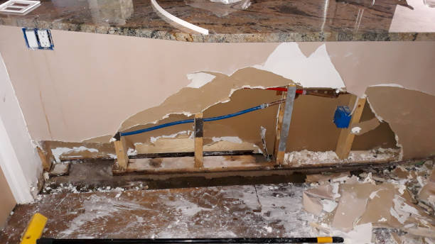 Best Water damage restoration mold remediation  in Coshocton, OH