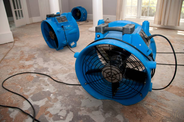 Best Commercial water damage restoration  in Coshocton, OH