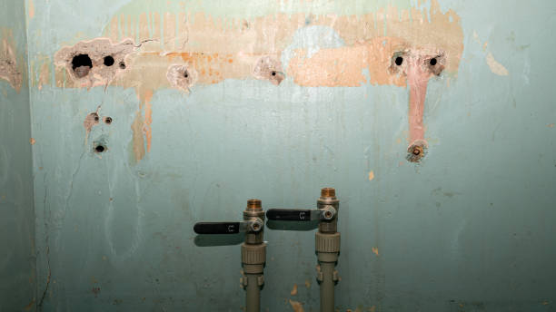 Best Sewage cleanup and water damage restoration  in Coshocton, OH