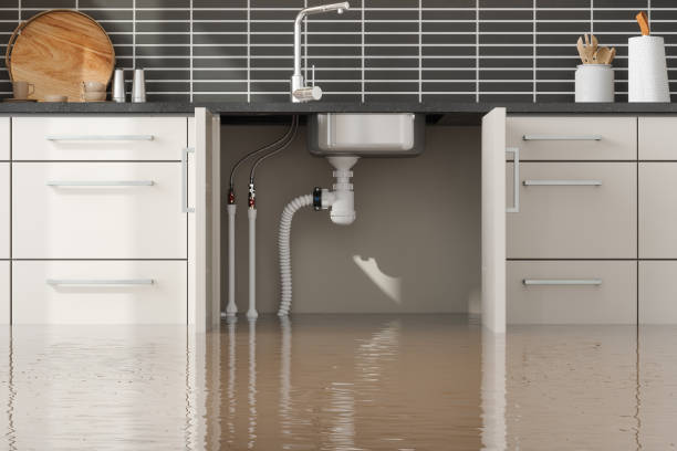 Best Local water damage restoration  in Coshocton, OH