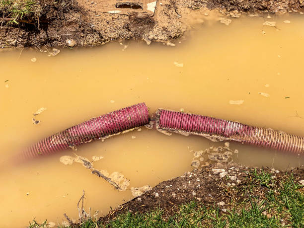 Best Flooded house restoration  in Coshocton, OH