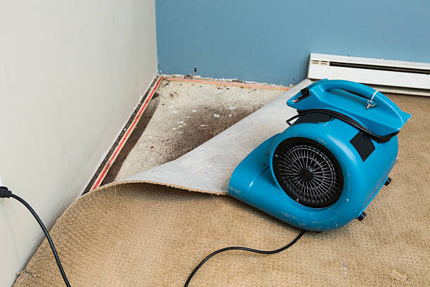 Best 24/7 water damage repair  in Coshocton, OH
